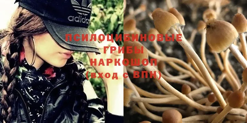 OMG ссылка  Лесосибирск  Псилоцибиновые грибы MAGIC MUSHROOMS 